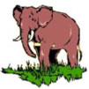 éléphant