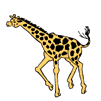 girafe