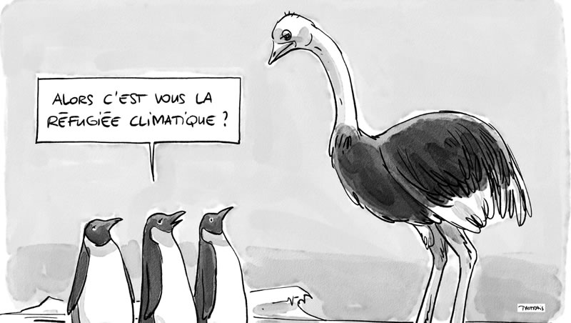 migrations FLE